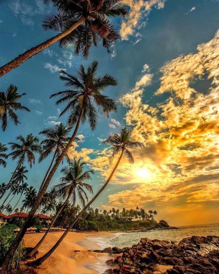 Samans Guesthouse Tangalle Luaran gambar